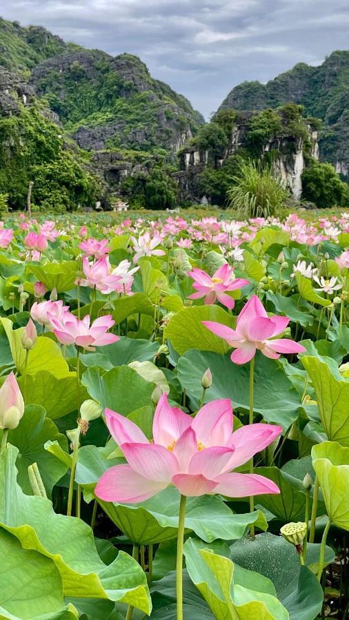 Hanoi Holiday Hotel Dış mekan fotoğraf